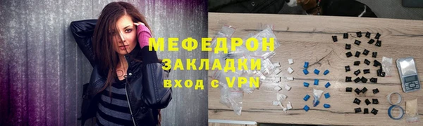 трава Гусиноозёрск