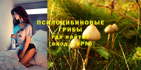 трава Гусиноозёрск